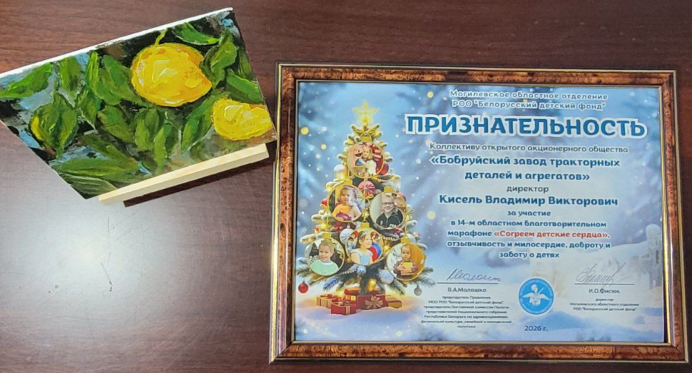 Созидание и милосердие коллектив ОАО «БЗТДиА» поддержал благотворительный марафон «Согреем детские сердца»