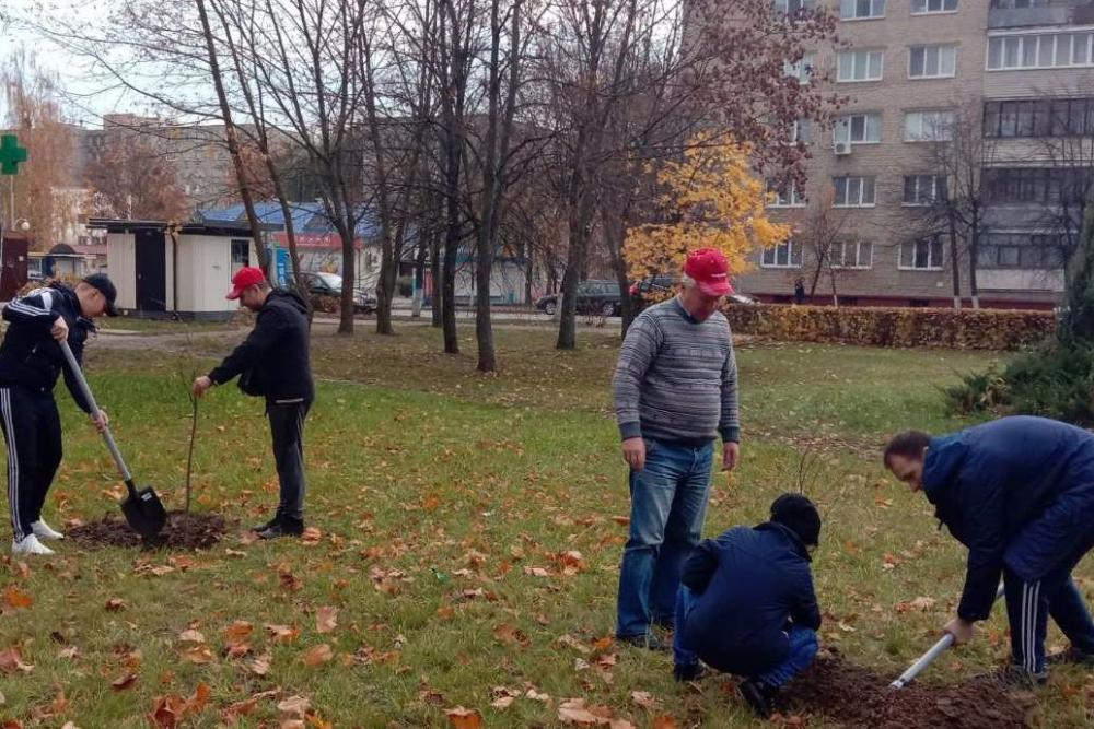 Городской субботник, посадка деревьев