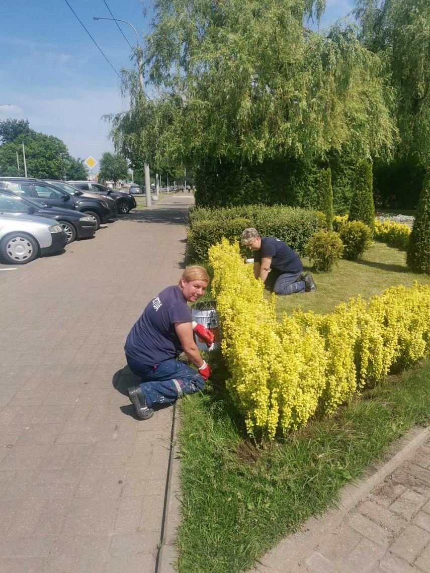 Благоустройство территории